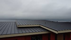 Best Rubber Roofing (EPDM, TPO)  in Big Stone Gap, VA